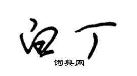 朱錫榮白丁草書個性簽名怎么寫