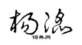 曾慶福楊滔草書個性簽名怎么寫