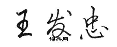 駱恆光王發忠行書個性簽名怎么寫