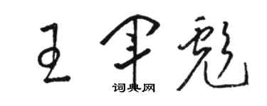 駱恆光王軍彪草書個性簽名怎么寫