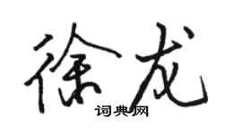 駱恆光徐龍行書個性簽名怎么寫