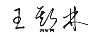 駱恆光王斯林草書個性簽名怎么寫