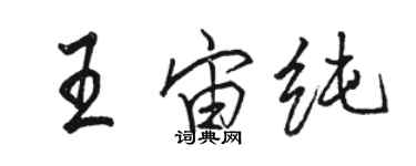 駱恆光王宙純行書個性簽名怎么寫