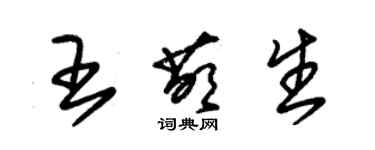 朱錫榮王萌生草書個性簽名怎么寫