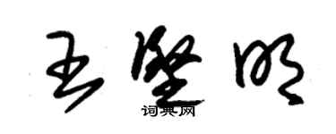 朱錫榮王堅明草書個性簽名怎么寫