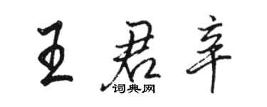 駱恆光王君辛行書個性簽名怎么寫