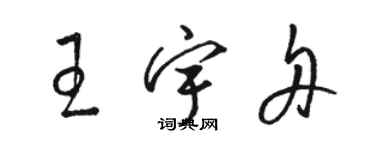 駱恆光王宇舟草書個性簽名怎么寫