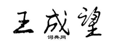 曾慶福王成望行書個性簽名怎么寫