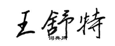 王正良王舒特行書個性簽名怎么寫
