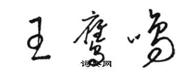 駱恆光王鷹鳴草書個性簽名怎么寫