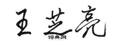 駱恆光王芝亮行書個性簽名怎么寫