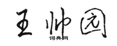 駱恆光王帥園行書個性簽名怎么寫