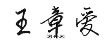 駱恆光王章愛行書個性簽名怎么寫