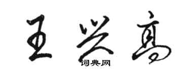 駱恆光王興高行書個性簽名怎么寫