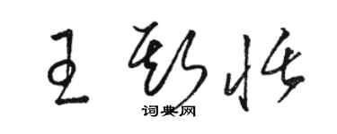 駱恆光王斯恬草書個性簽名怎么寫