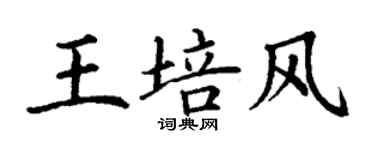丁謙王培風楷書個性簽名怎么寫