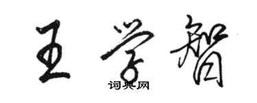 駱恆光王學智行書個性簽名怎么寫