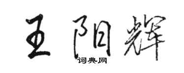 駱恆光王陽輝行書個性簽名怎么寫