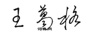 駱恆光王葛格草書個性簽名怎么寫