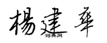 王正良楊建華行書個性簽名怎么寫