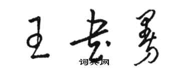 駱恆光王書曼草書個性簽名怎么寫