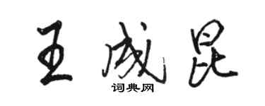 駱恆光王成昆行書個性簽名怎么寫