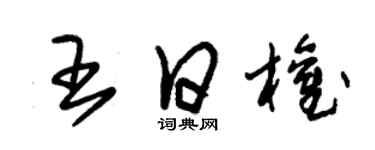 朱錫榮王日權草書個性簽名怎么寫