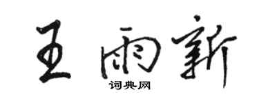 駱恆光王雨新行書個性簽名怎么寫