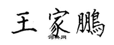 何伯昌王家鵬楷書個性簽名怎么寫