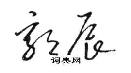 駱恆光郭辰草書個性簽名怎么寫