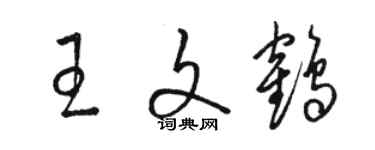 駱恆光王文鶴草書個性簽名怎么寫