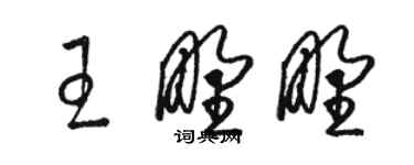 駱恆光王野野草書個性簽名怎么寫