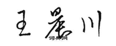 駱恆光王晨川草書個性簽名怎么寫