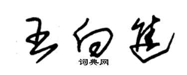 朱錫榮王向進草書個性簽名怎么寫