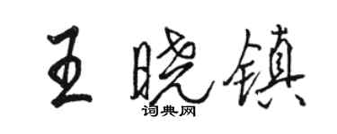 駱恆光王曉鎮行書個性簽名怎么寫