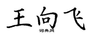丁謙王向飛楷書個性簽名怎么寫
