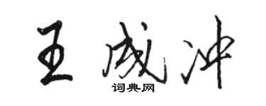 駱恆光王成沖行書個性簽名怎么寫