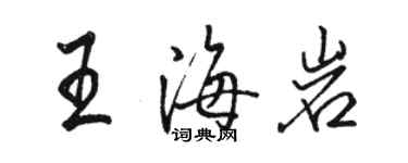 駱恆光王海岩行書個性簽名怎么寫