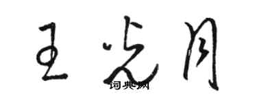 駱恆光王光月草書個性簽名怎么寫