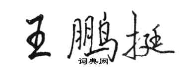 駱恆光王鵬挺行書個性簽名怎么寫
