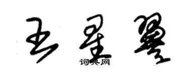 朱錫榮王星翼草書個性簽名怎么寫