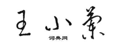 駱恆光王小蘭草書個性簽名怎么寫