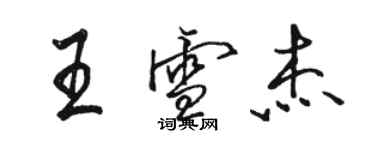 駱恆光王雪傑行書個性簽名怎么寫