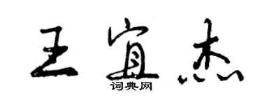 曾慶福王宜傑行書個性簽名怎么寫