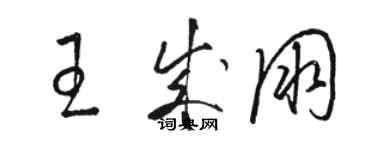 駱恆光王成朋草書個性簽名怎么寫