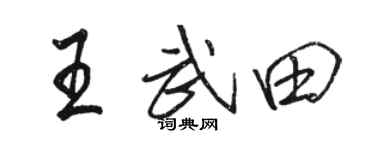 駱恆光王武田行書個性簽名怎么寫
