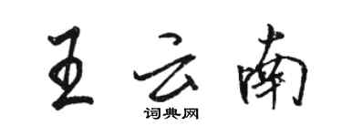 駱恆光王雲南行書個性簽名怎么寫