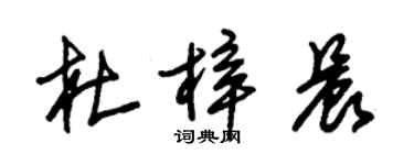 朱錫榮杜梓晨草書個性簽名怎么寫