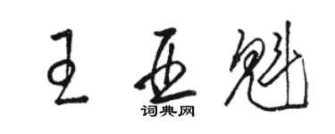 駱恆光王亞魁草書個性簽名怎么寫