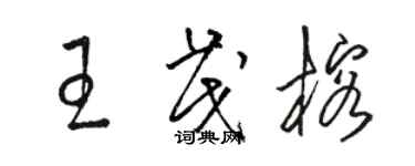 駱恆光王茂榕草書個性簽名怎么寫